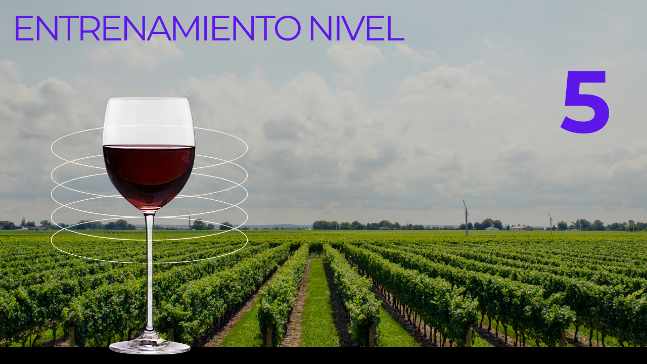 ENTRENAMIENTO NIVEL 5